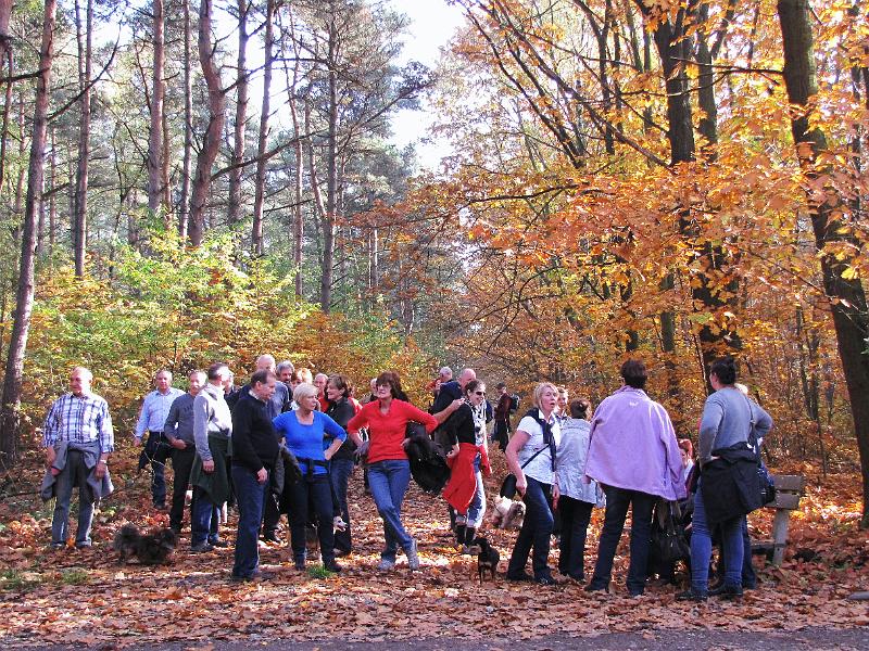 Wandeling van Monke en Judith op 21-10-2012 (48).JPG